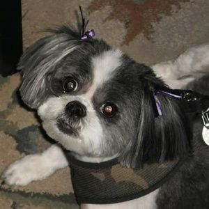 Meet your Posher, Jefferey